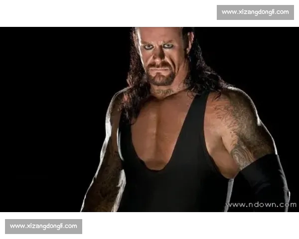 WWE送葬者经典比赛回顾 揭示历史上最震撼的几场巅峰对决